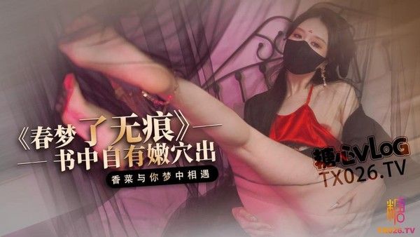 春梦了无痕 梦幻现实交织的唯美情感探索之旅