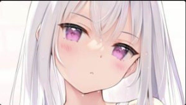 MIGNONWORKS Shiro 枕套特典