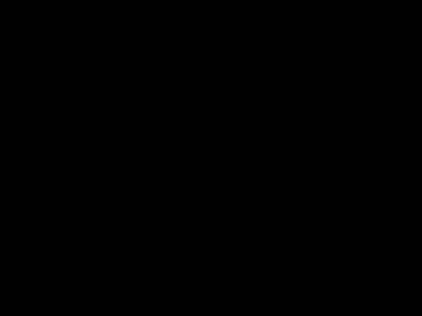 Cambrian 2 奇幻远古生物与人类交织的成人动漫故事