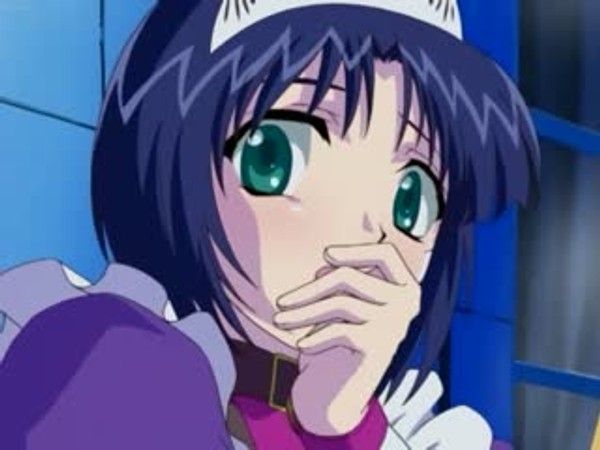 エルフィーナ ~淫夜へと売られた王国で 艾尔菲娜公主的堕落