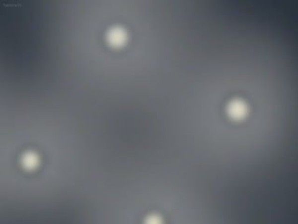 オサナナジミとドウキュウセイ1 青梅竹马与同班同学的禁忌校园恋