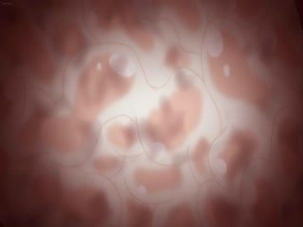 いもうとビッチに搾れたい2 妹妹痴女禁忌榨取