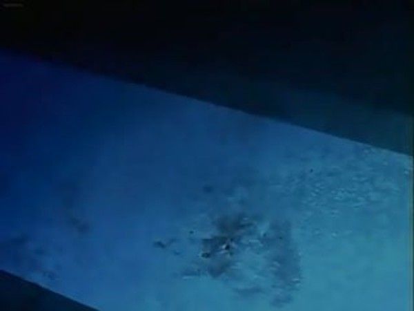 無人島物語XX4 无人岛物语XX4 成人动漫