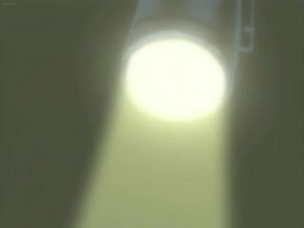 花とへび3 禁忌欲望与权力游戏