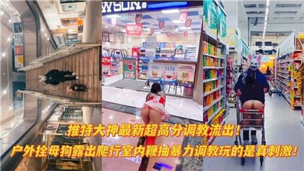推特大神 最新超高分调教流出户外栓母狗露出爬行室内鞭抽暴力调教