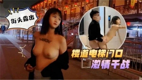 街头露出 素人情侣电梯楼道激情互动