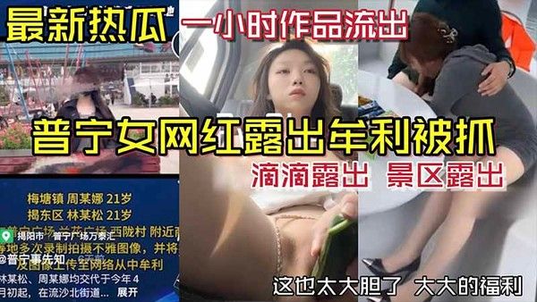 普宁女王和户外露出牟利被抓！真实一小时作品流出80-精品力荐