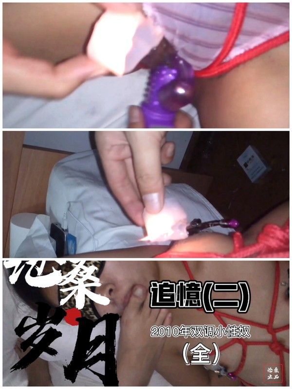 2010年双调小性奴