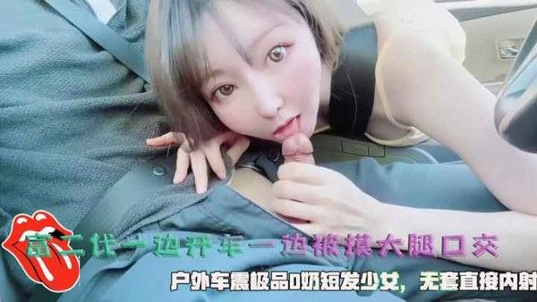 富二代户外车震极品D奶短发少女无套内射