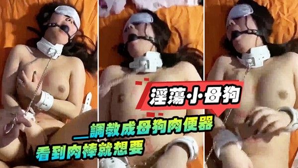 淫荡小母狗 调教成母狗肉便器看到肉棒就想要
