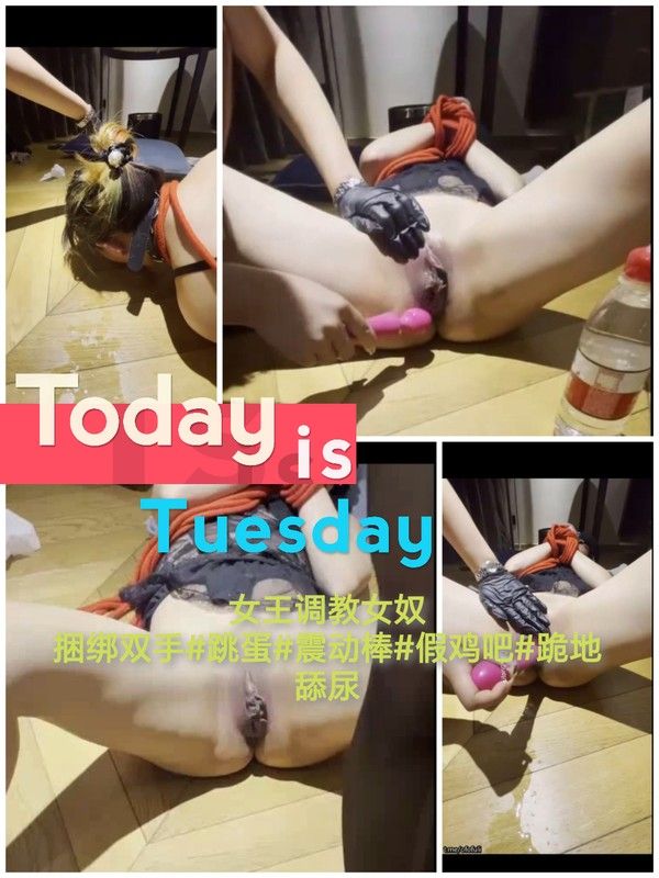 SM调教 女王调教女奴
