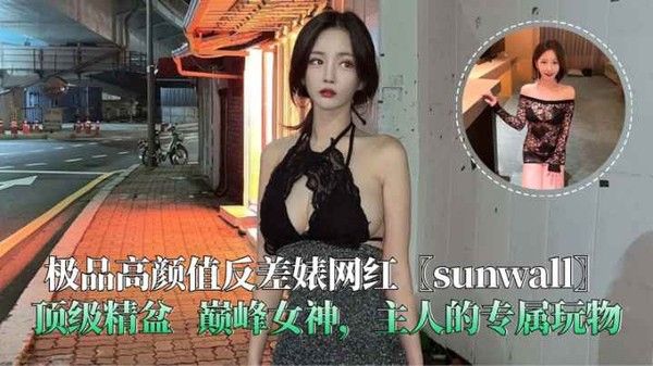 极品高颜值反差婊网红