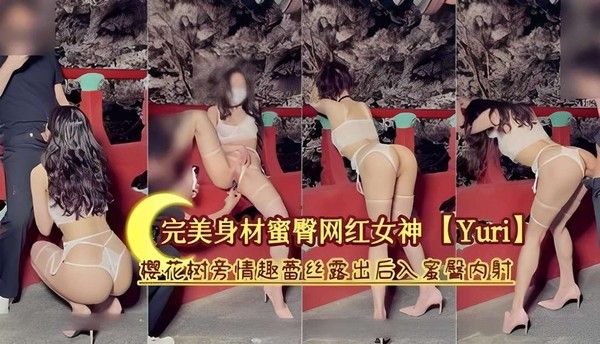 完美身材蜜臀网红女神樱花树旁情趣蕾丝露出后入内射