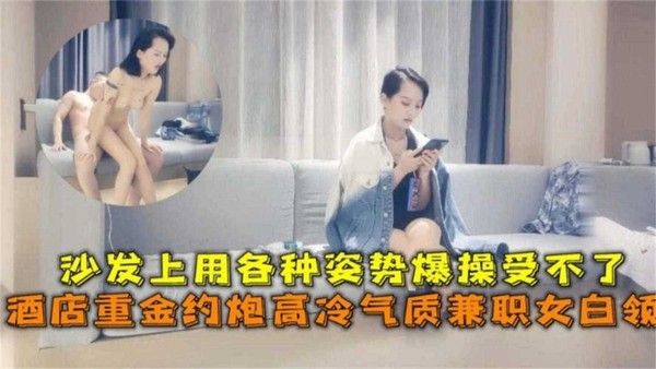 重金约炮高冷气质兼职白领 沙发上用各种姿势爆操受不了