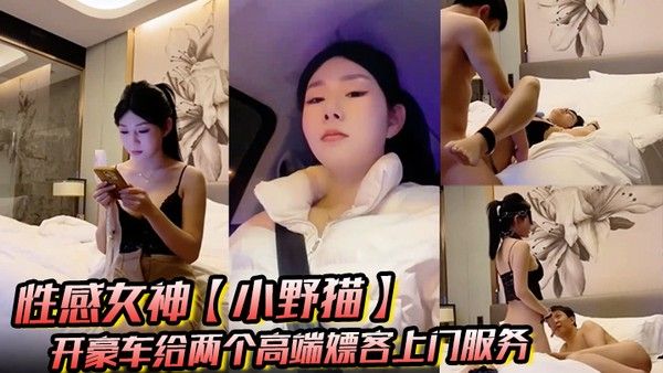 性感女神小野猫豪车上门服务SM