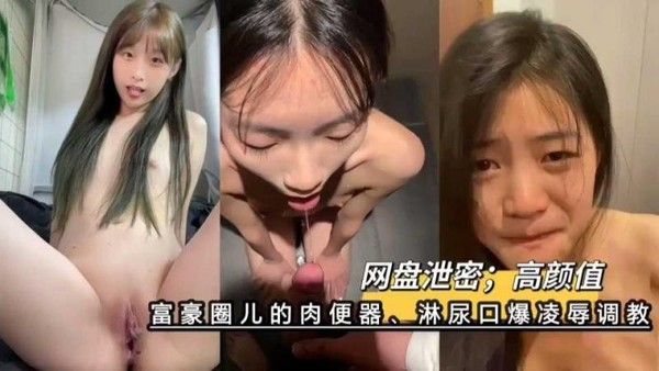 网络上的玩物富豪圈儿的高颜值肉便器 淋尿口爆凌辱调教