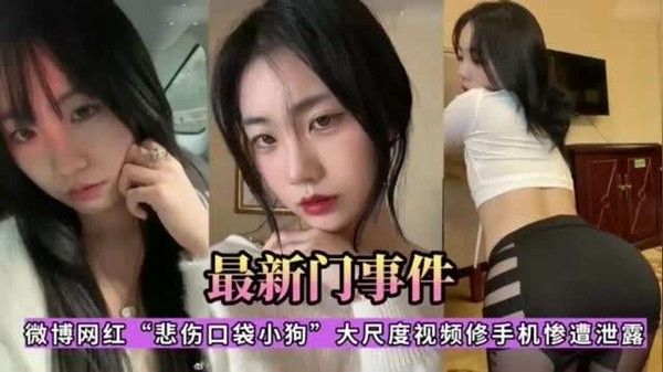 微博网红悲伤口袋小狗自慰视频泄密流出