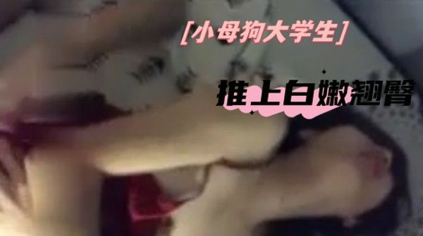 推上白嫩翘臀小母狗大学生调教啪啪S+V集合