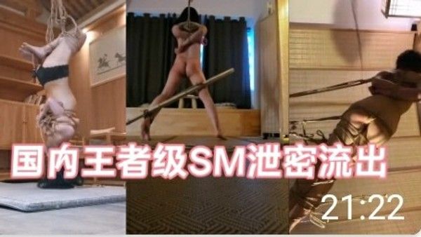 国内王者级SM作品泄密流