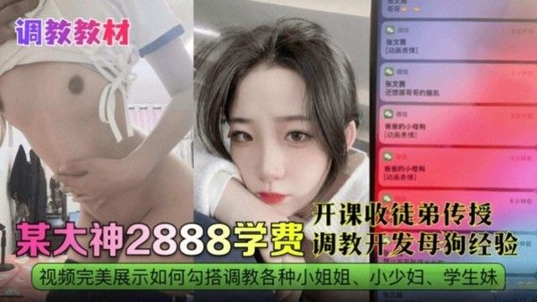 某大神调教开发母狗经验 极品反差婊网红黑料