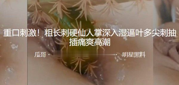重口刺激！粗长刺硬仙人掌深入湿逼叶多尖刺抽插痛爽高潮-变态