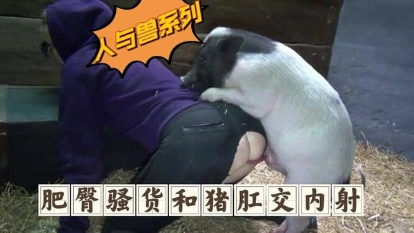 肥臀骚货和猪肛交内射-变态