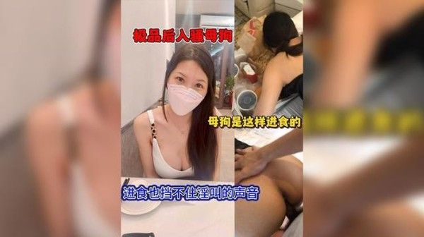 极品后入骚母狗 吃瓜黑料 成人向影视资源
