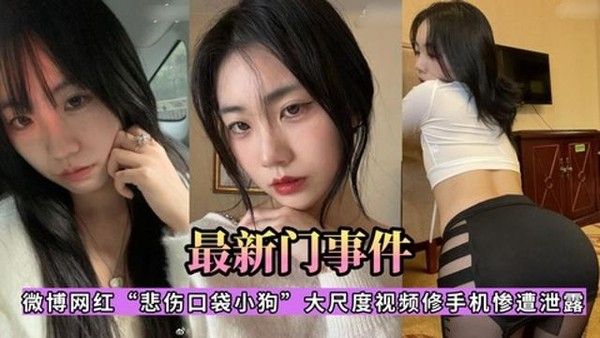 微博网红悲伤口袋小狗大尺度视频修手机惨遗泄露