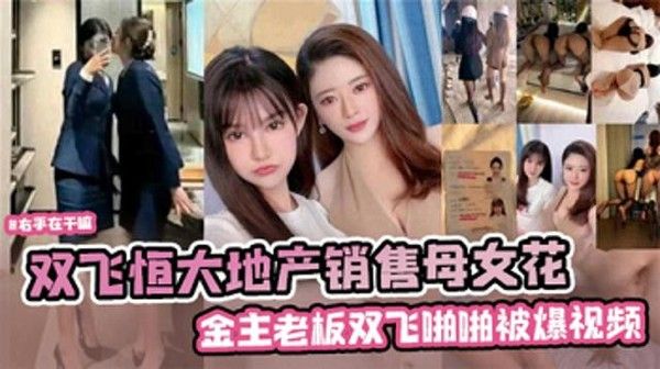 双飞恒大地产销售母女花