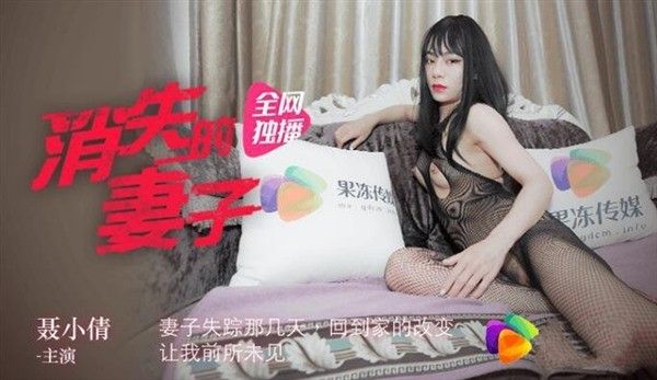 消失的妻子 聂小倩主演国产悬疑情感佳作