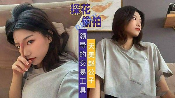 天美传媒-偷拍领导的交易工具酒店开房